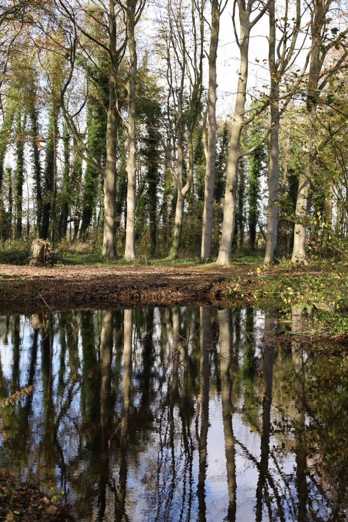 Natuur