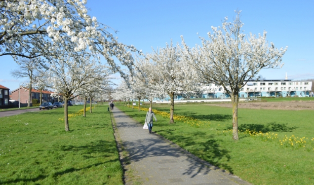 De Woonark in Dronten.