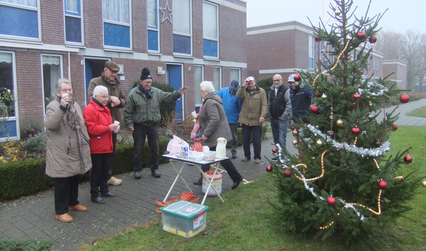 Een gemeentelijke kerstboom aan de Lange Streek in Swifterbant.