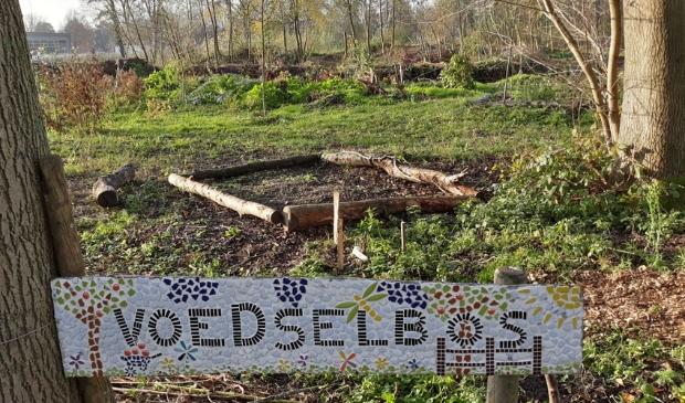 Het Voedselbos in het Groene Hart van Kampen