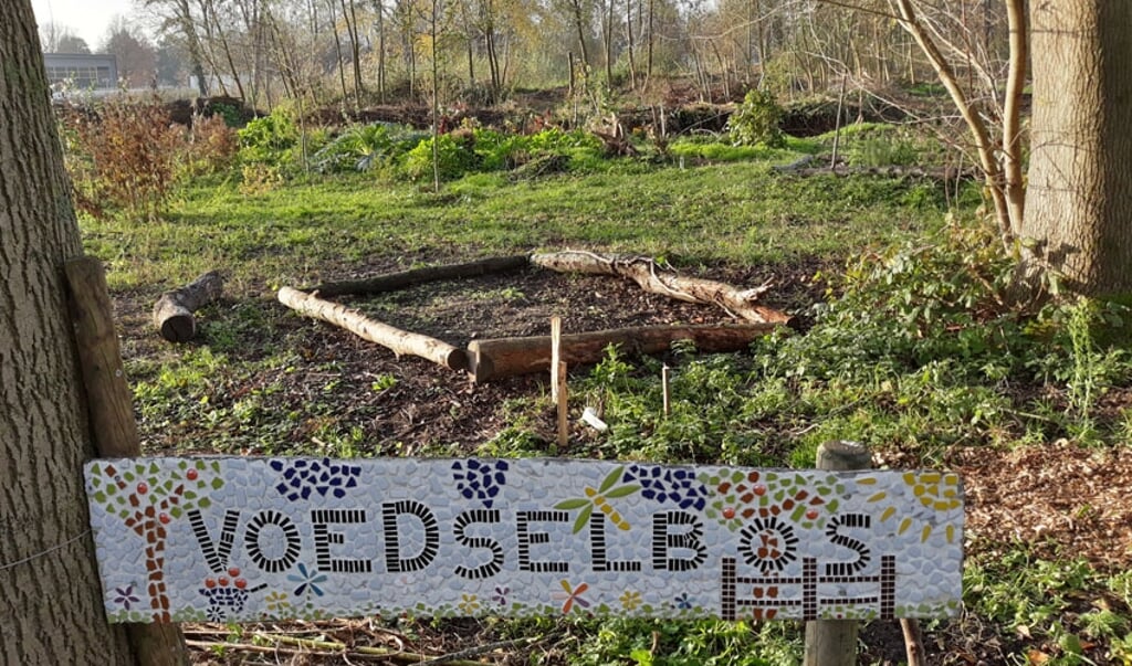 Het Voedselbos in het Groene Hart van Kampen