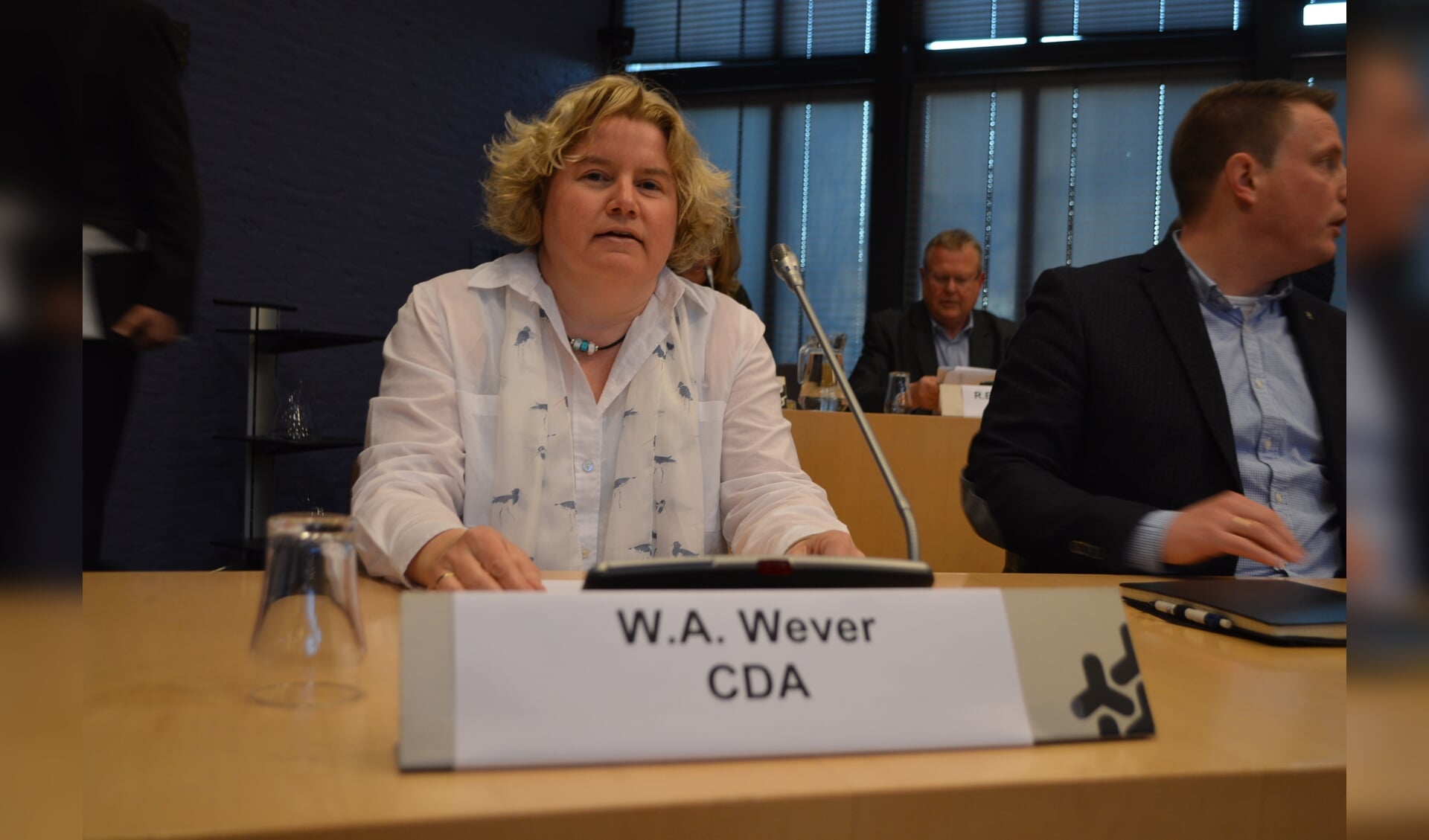 Willemien Wever, CDA