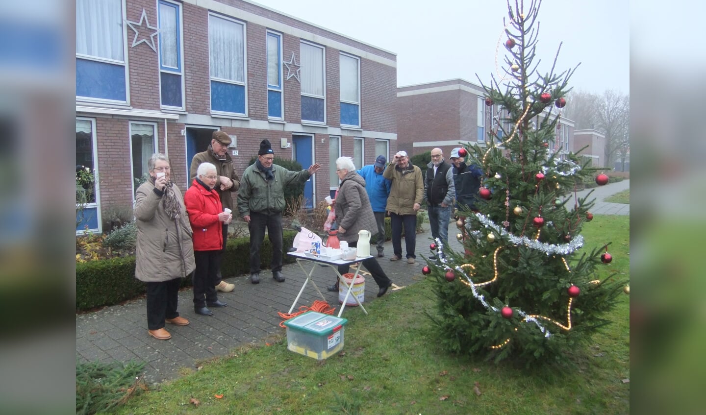 Een gemeentelijke kerstboom aan de Lange Streek in Swifterbant.