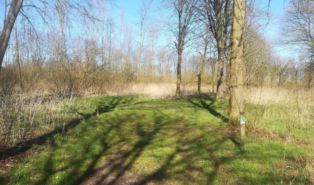 <p>Horsterwold</p>