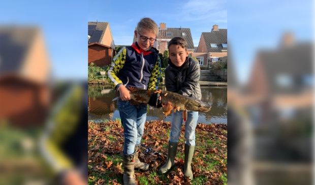 Jari (links) Ivan (rechts)