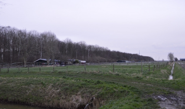 De paardenweides tussen Swifterbant en de toekomstige nieuwbouwwijk.