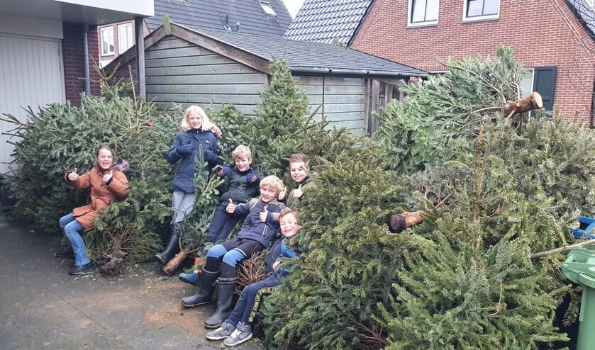 Lise, Lis, Pim, Tom, Thijs en Luuk uit IJsselmuiden zijn dagen in touw geweest om 40 bomen op te halen.
