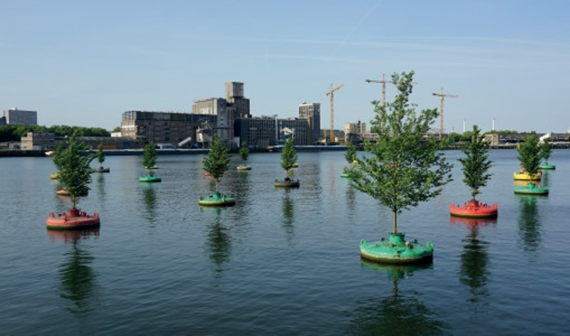 Het Dobberend Bos in Rotterdam