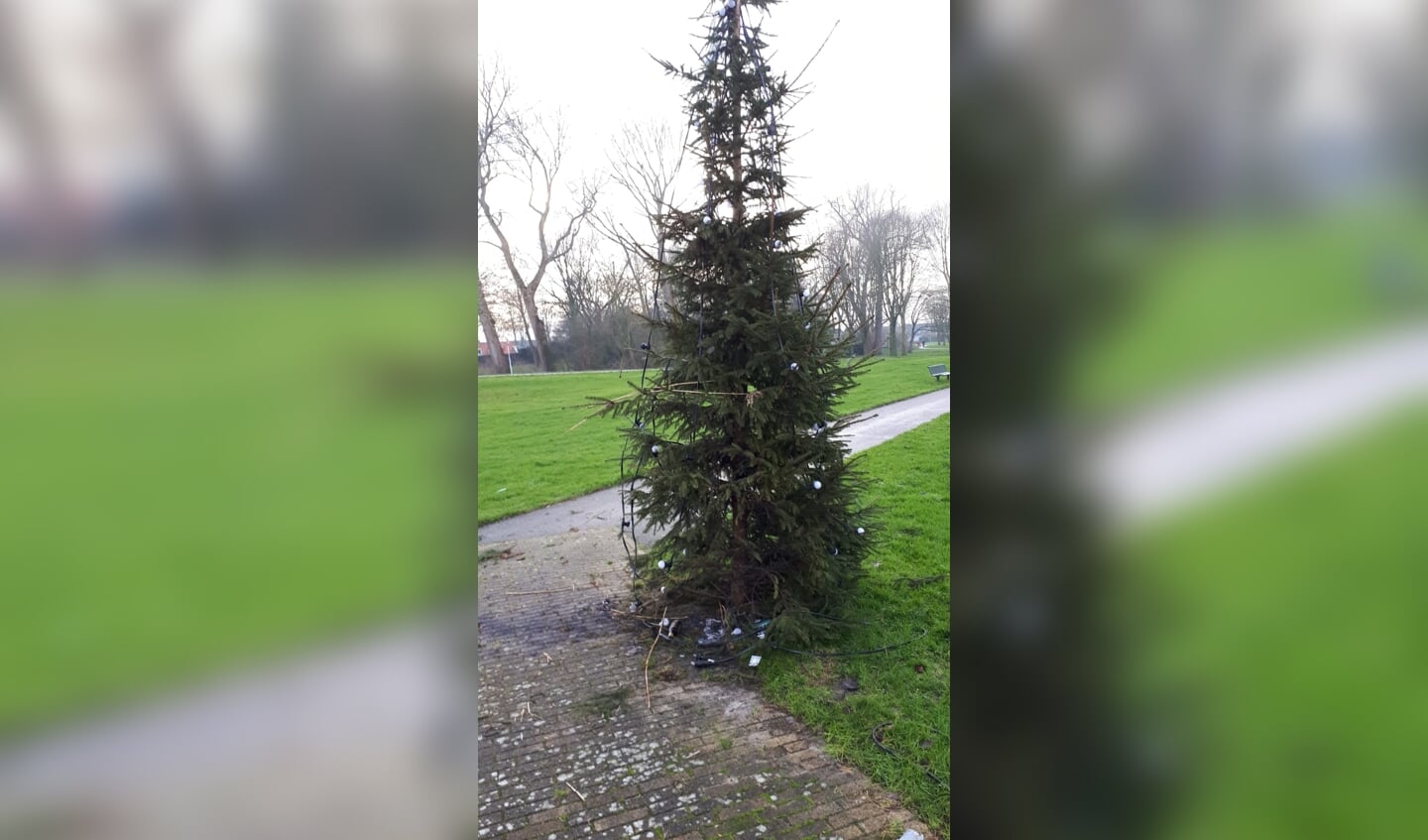 De vernielde kerstboom