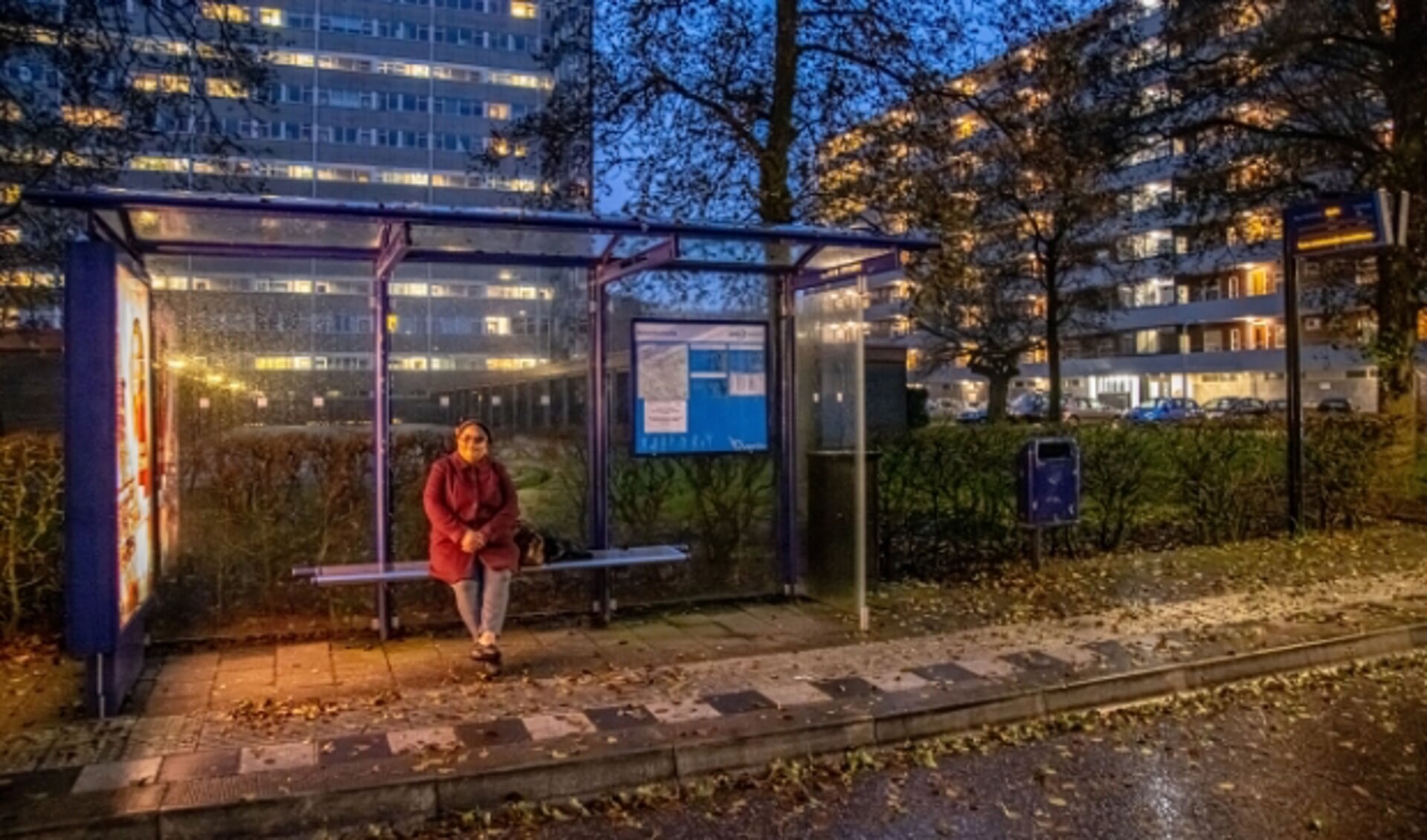 Violet Roosberg van de protestgroep in 'haar' bushalte aan de Gombertstraat. (Foto: Frans Paalman)