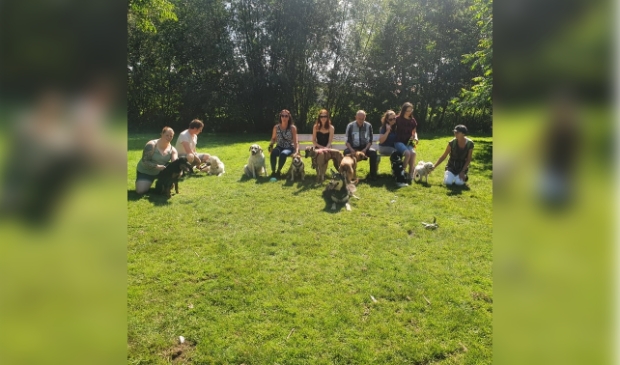 Enkele baasjes met hun honden op het beoogde veld