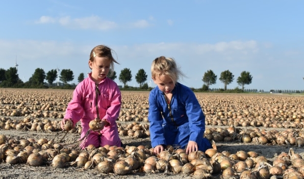 Kinderen bij een akkerbouwbedrijf in Tollebeek.