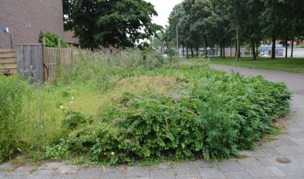 Openbaar groen aan de Baskenstraat in Dronten.