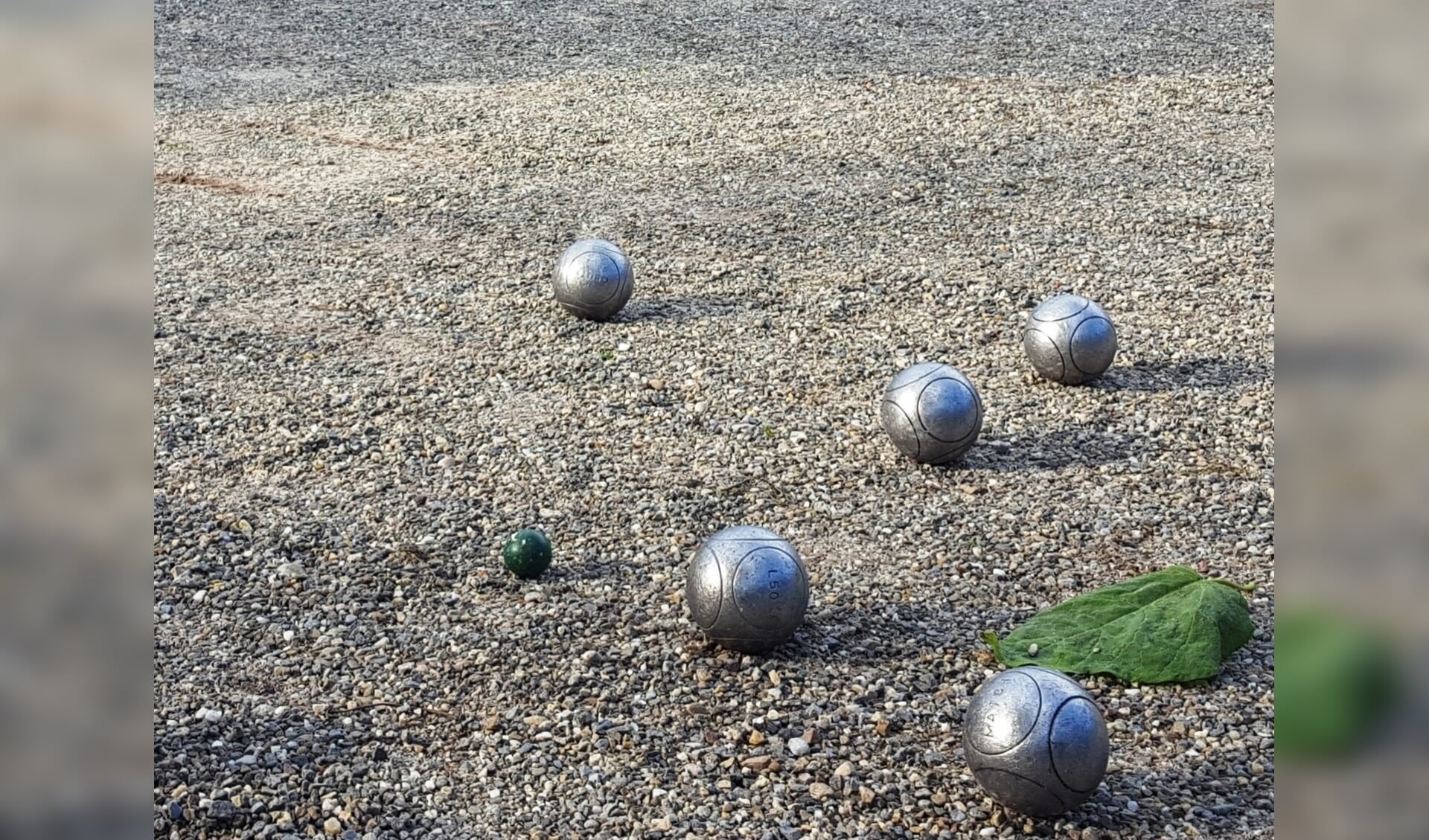 Petanque op het Tinneplein