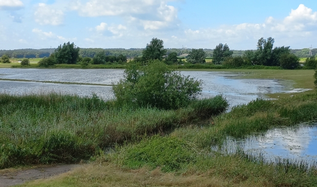 hoog water langs de IJssel bij Zwolle