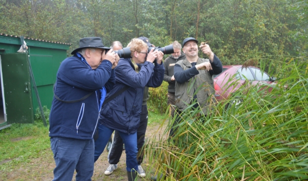 Natuurgebied Kamperhoek vlakbij de Ketelbrug.