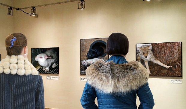 Gallery interior with blank frames