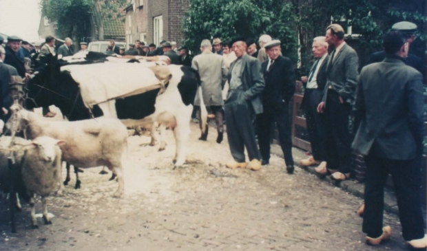Grafhorst Biestemerk.