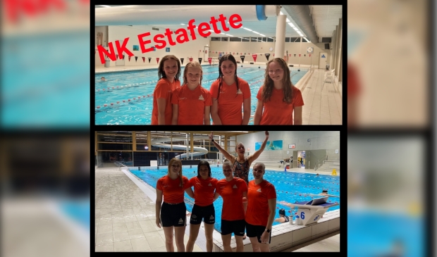 meisjesteam en damesteam Deltasteur