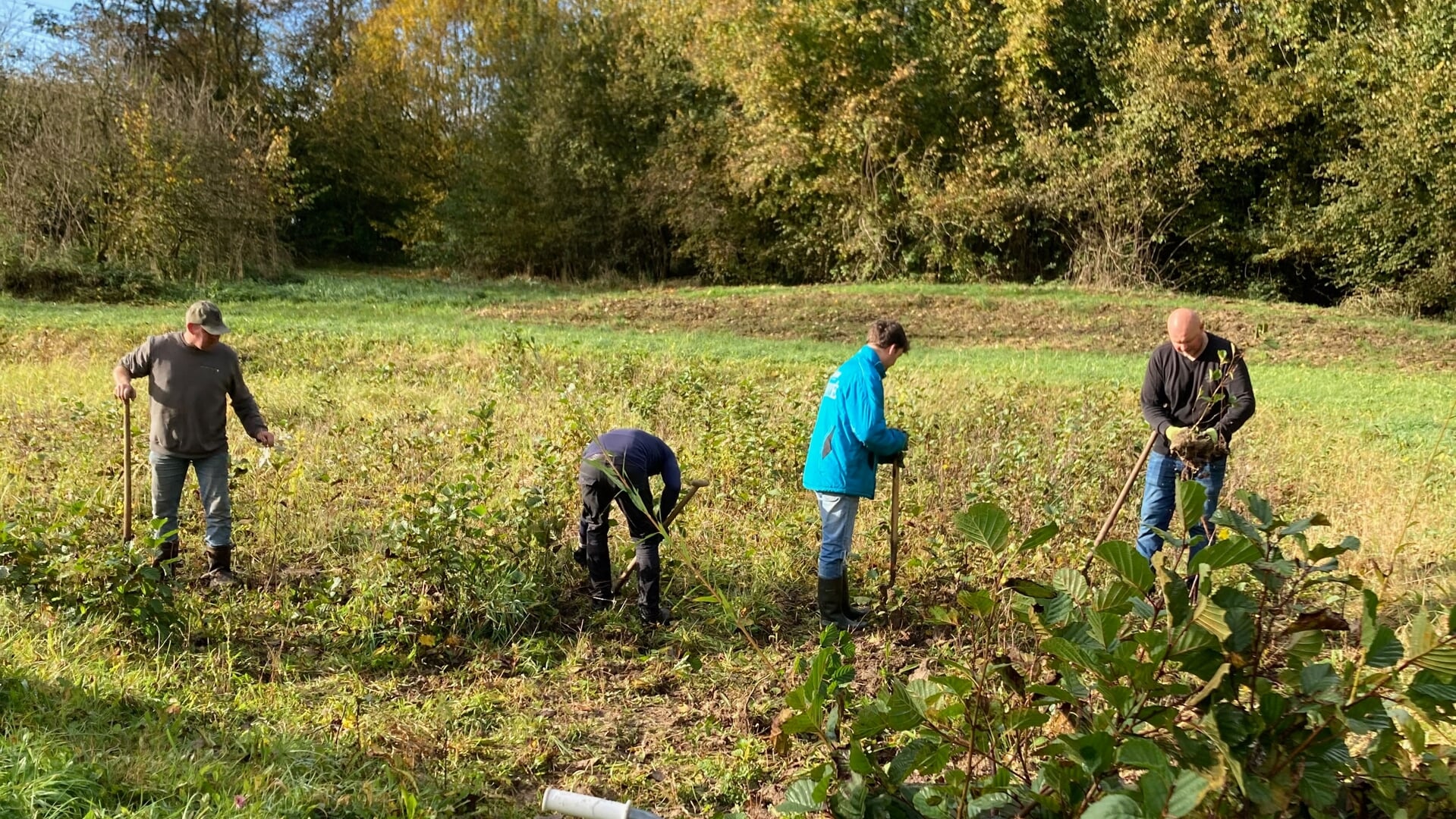 Natuurwerkdag in het Torenbosje.