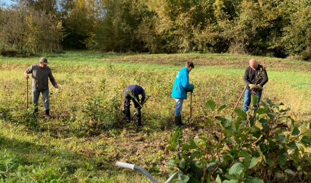 Natuurwerkdag in het Torenbosje.