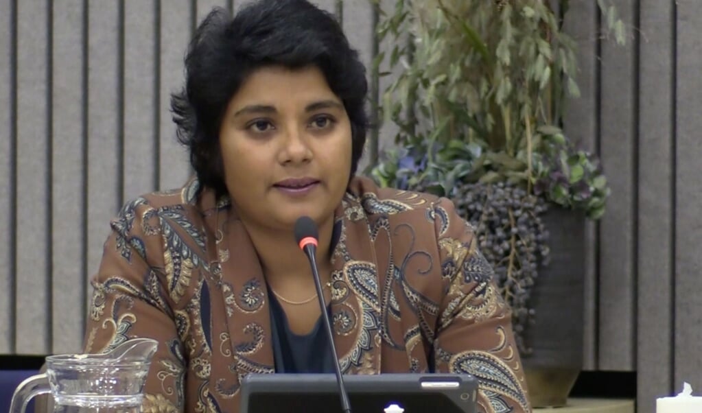 Irene Korting ligt niet alleen intern en bij ondernemers onder vuur, ook in raad - DeDrontenaar.nl
