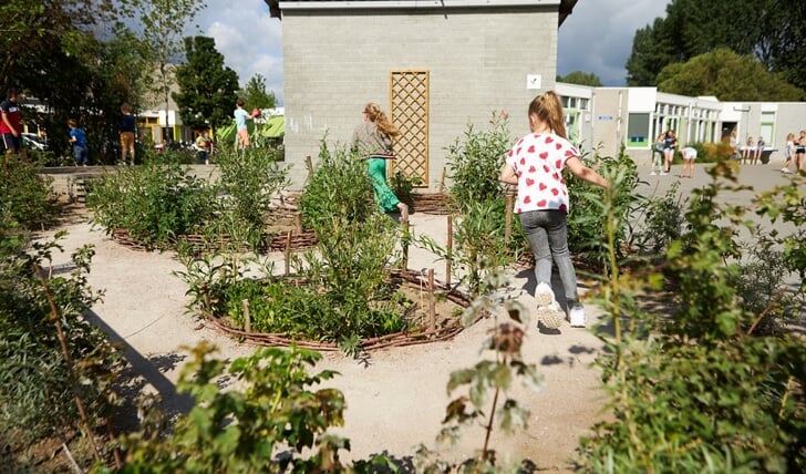 Kbs De Wingerd heeft een groenschoolplein waarop de leerlingen kunnen spelen maar ook leskrijgen.
