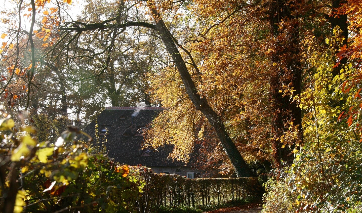 Herfst pad