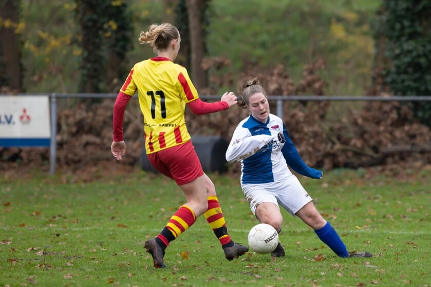 EDON-Go Ahead Kampen.