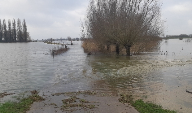 <p>De IJssel tussen Zwolle en Wijhe.</p>