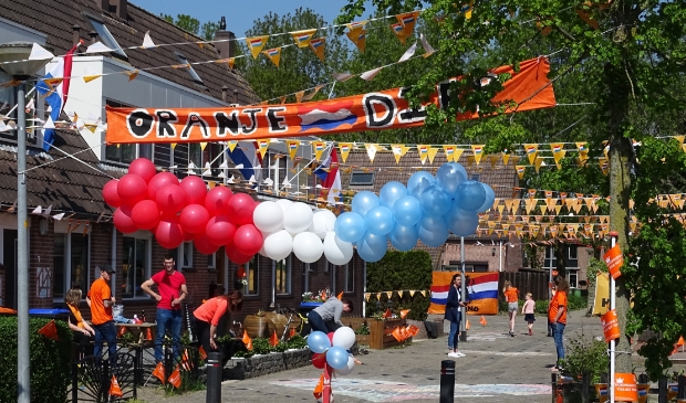 <p>Koningsdag 2020 (archieffoto)</p>