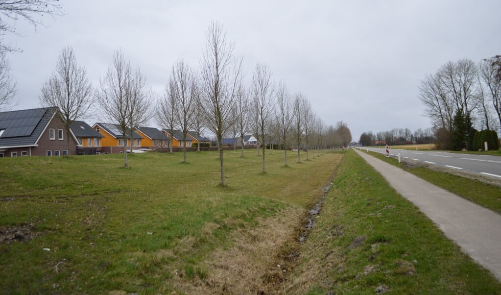 Links de geluidswal en de Bloemenzoom, rechts de Biddingweg.