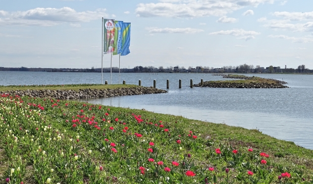 'Tussen kop en steel"