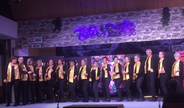 <p>Musicalgroep Hasselt</p>