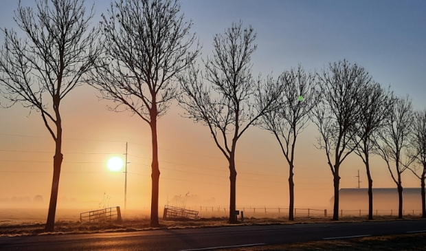 Mistige ochtend in april