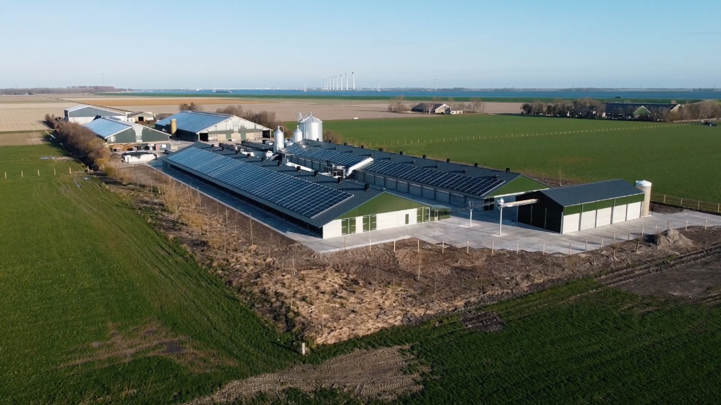 De nieuwe legpluimveehouderij.