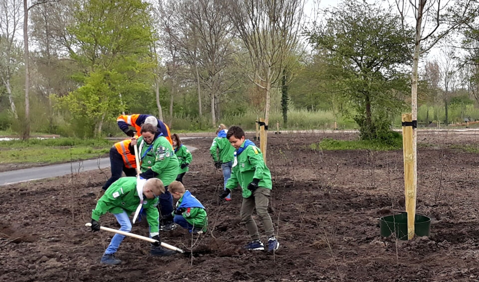 Welpen planten struiken in het nieuwe deel van het Groene Hart in het Kamper Stadspark