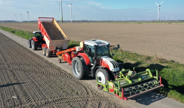 De fritesaardappelen zitten sinds vorige week weer in de grond.
