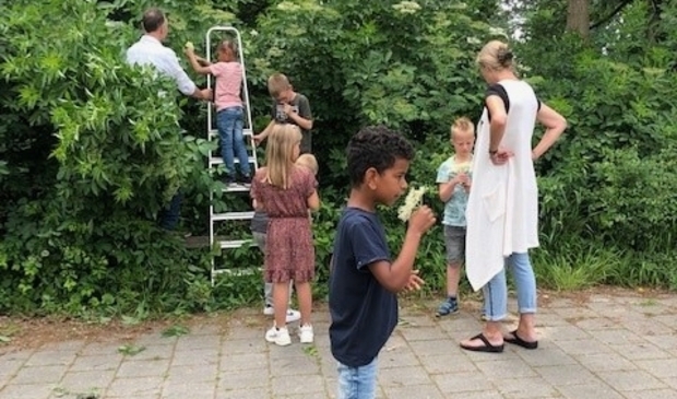 Smaaklessen in Flevoland.