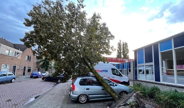 Een omgewaaide boom aan de Reyersdijk.
