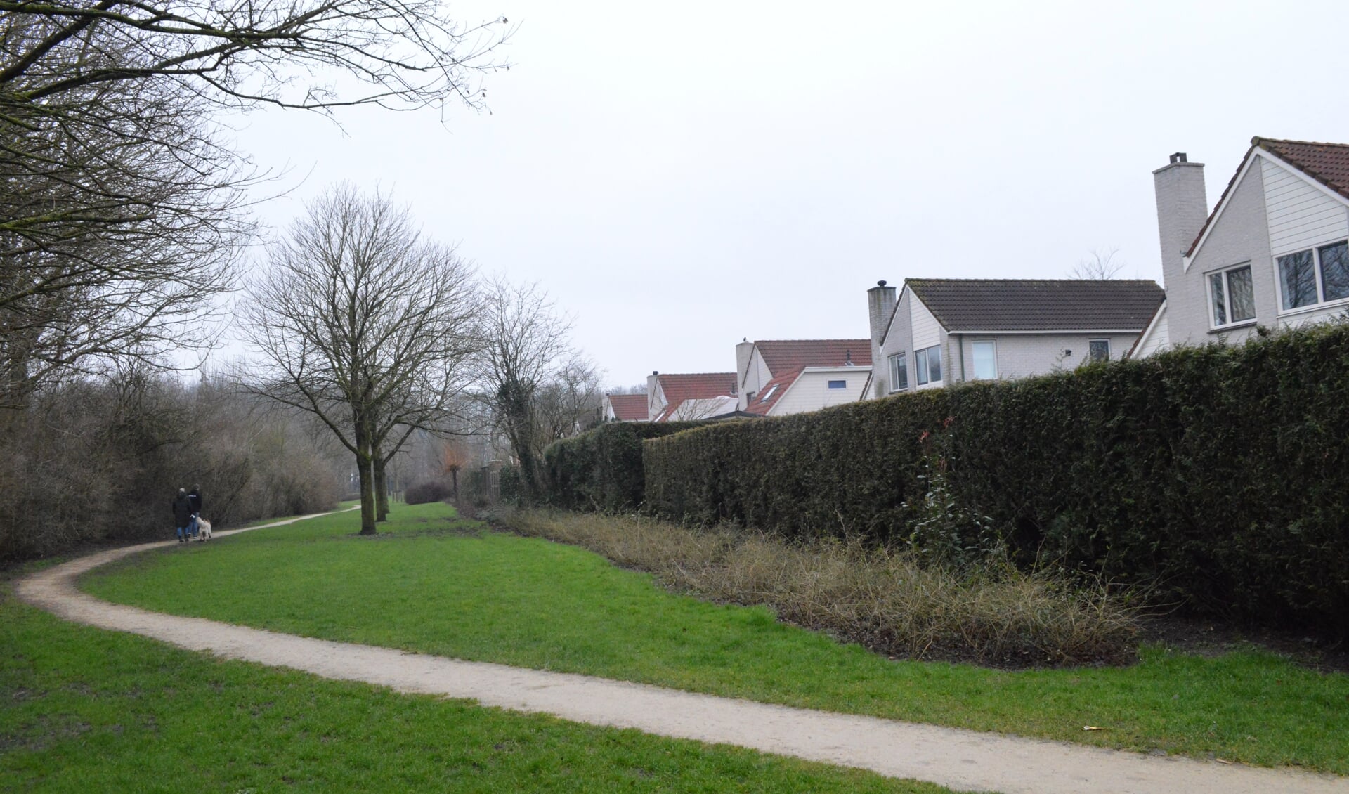 Een deel van het groen tussen de woningen aan de Concourslaan (re.) en de Flevomanege (li.).
