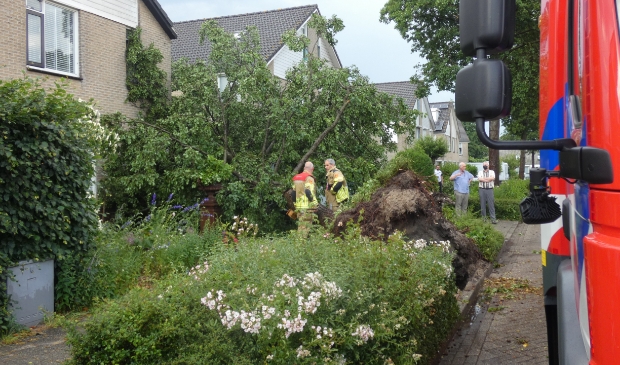KAMPEN - Vrijdagavond 18 juni tegen 19.05 uur is door een flinke windvlaag een boom tegen een woning en auto omgewaaid aan de Marinus Postlaan in Kampen. De brandweer kwam naar het incident en deed onderzoek. Ze hebben de boom met behulp van een zaag in stukken gezaagd. Door het incident is niemand gewond geraakt.