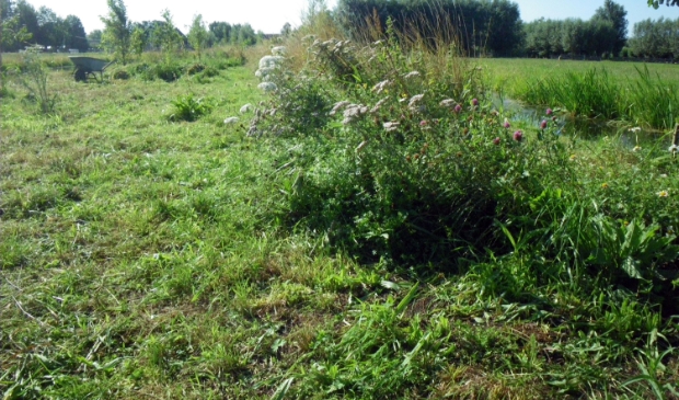 Een slingerend lint van Landschapsbeheer.