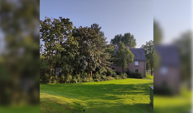 De locatie voor de nieuwe woningen.