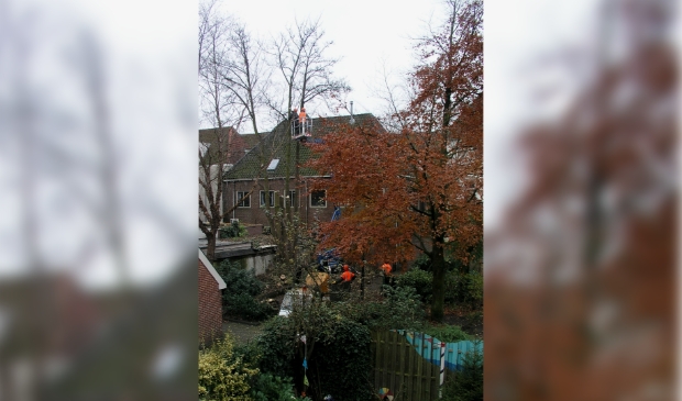 Renovatie binnenstadtuin 'Het Hof van Breda' in 2006.