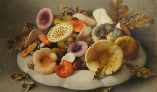 Paddestoelen met scherp oog voor detail door Jan Voerman junior vastgelegd in een stilleven.