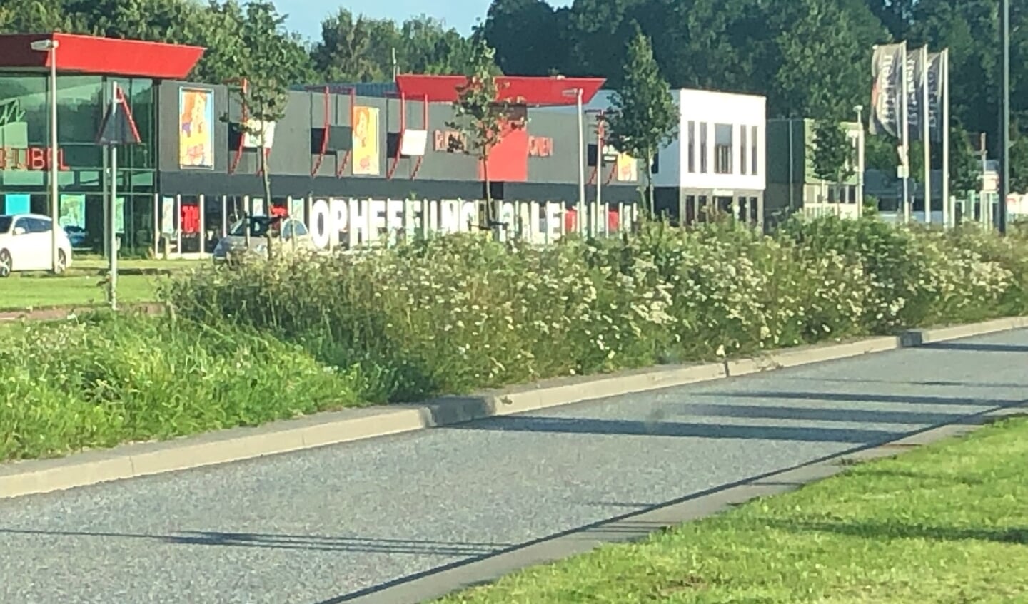 Deze zomer was niet iedereen tevreden over het maaibeheer langs De Noord.