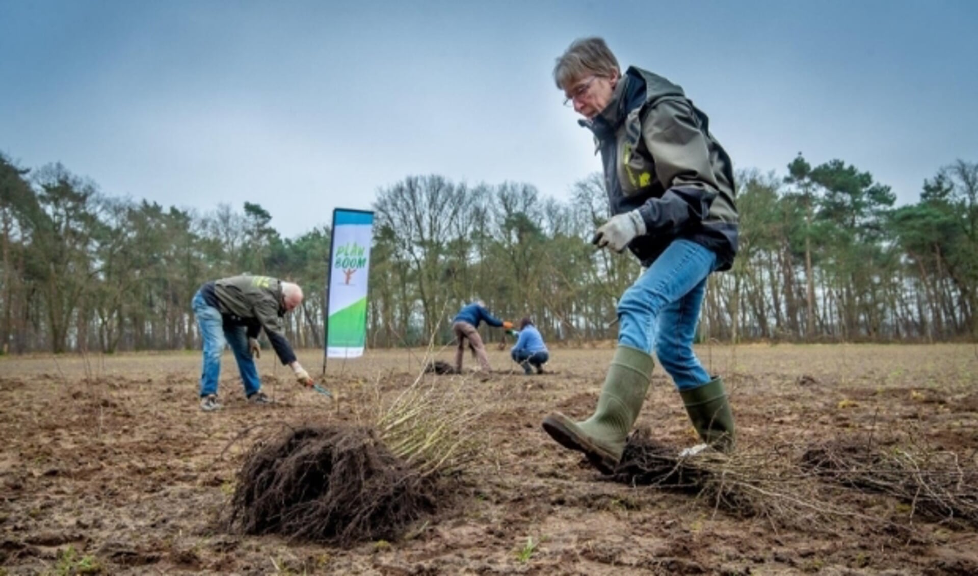 Vrijwilligers van IVN Veldhoven Eindhoven Vessem planten ruim 325 jonge bomen. (Foto: BMF, Erik van der Burgt).