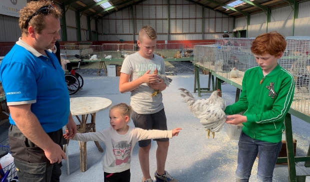 <p>Begin september ging de jongdierenkeuring in Genemuiden wel door. </p>