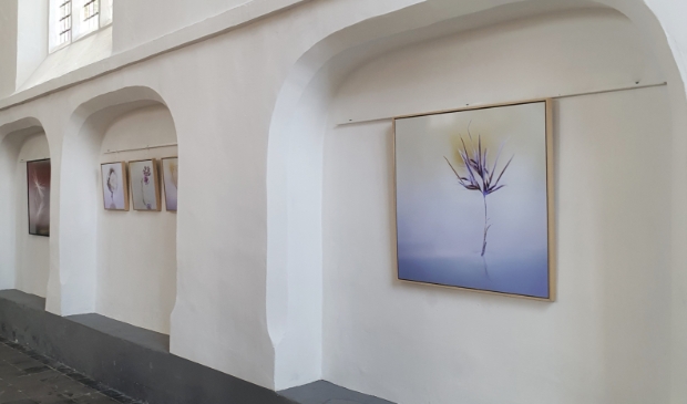 expositie Kleine Kerk Steenwijk